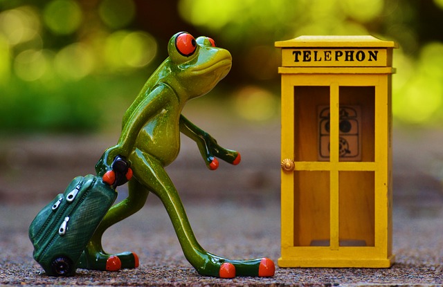 מקור: https://pixabay.com/en/frog-phone-booth-travel-book-phone-949601