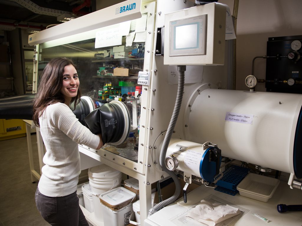 צילום: אלכס גורביץ׳