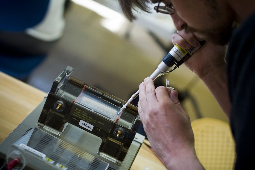  ניסויים במעבדה Biocurious שבעמק הסיליקון, במעבדה קהילתית בבוסטון ובפריז | תמונה: Jeanbaptistparis/Flickr