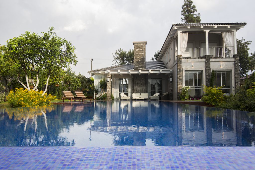 צילום: עידן גור