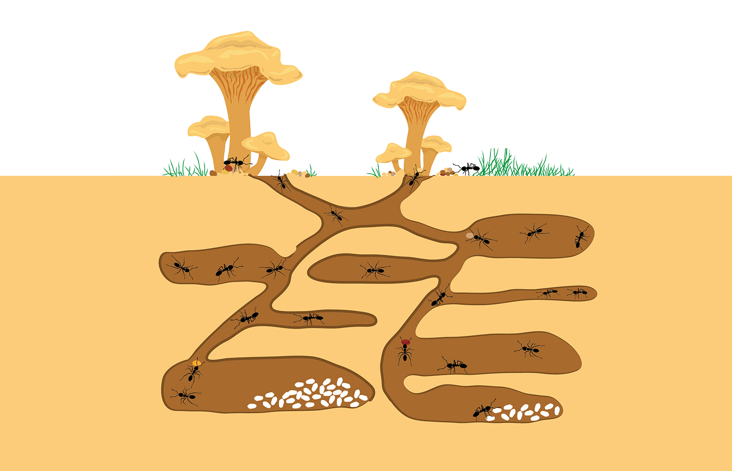 תמונה: Fotolia