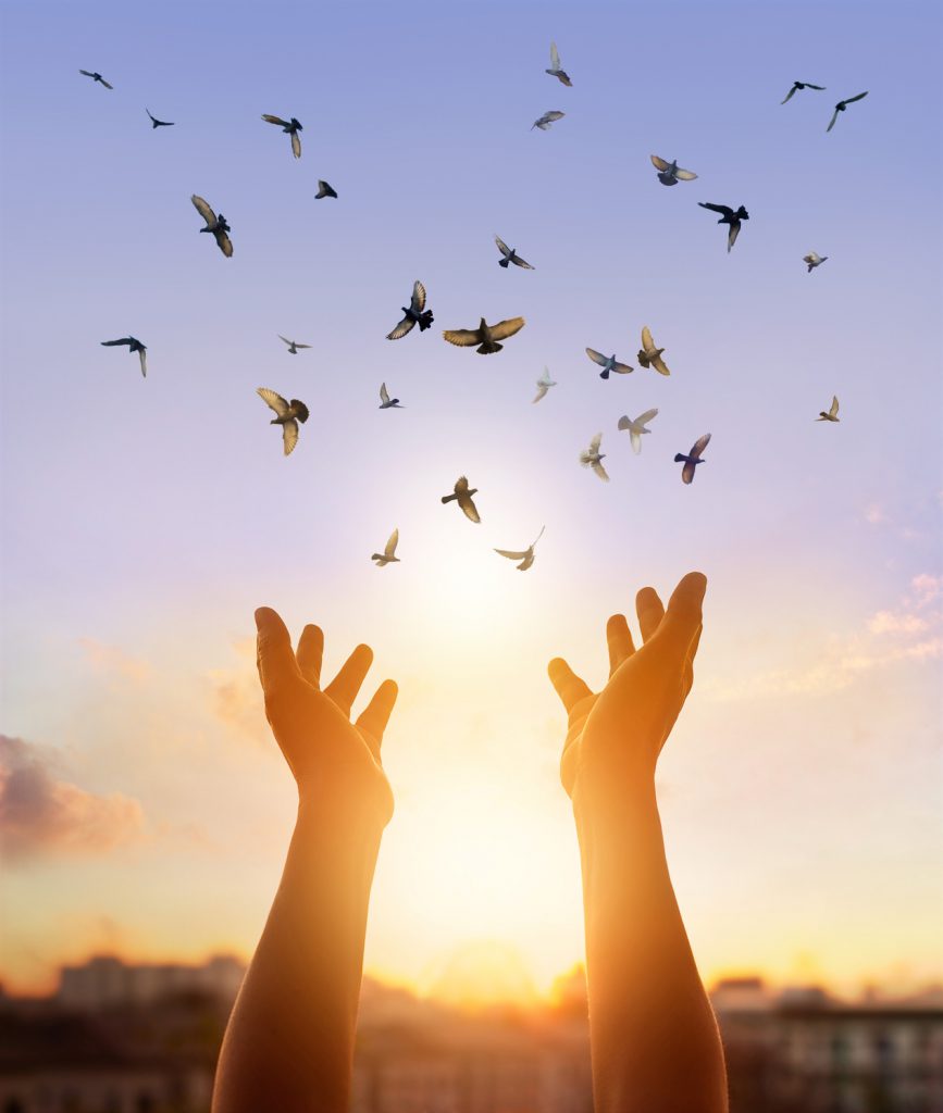 תמונה: Fotolia