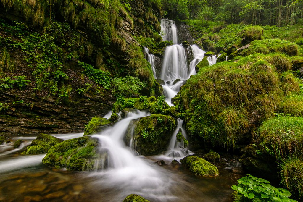 תמונת אילוסטרציה: Fotolia