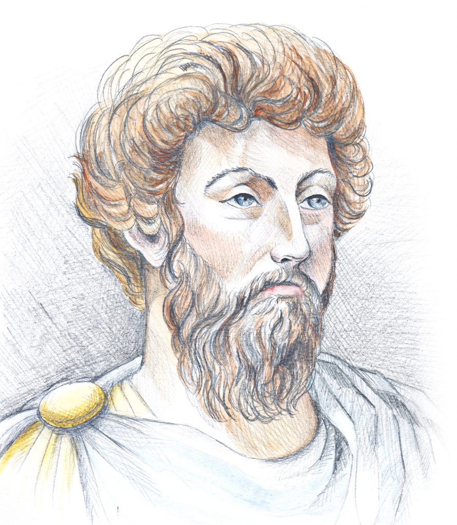 איור: ליזה וורונין