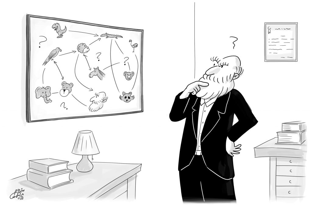 איור: מושיק גולסט