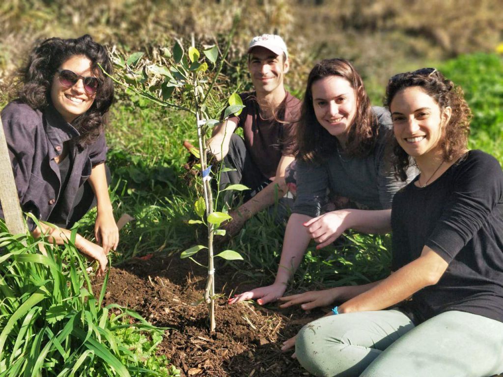 שותלים עץ ביער המאכל קורן, חורף 2019 | תמונה: יערה ארגוב