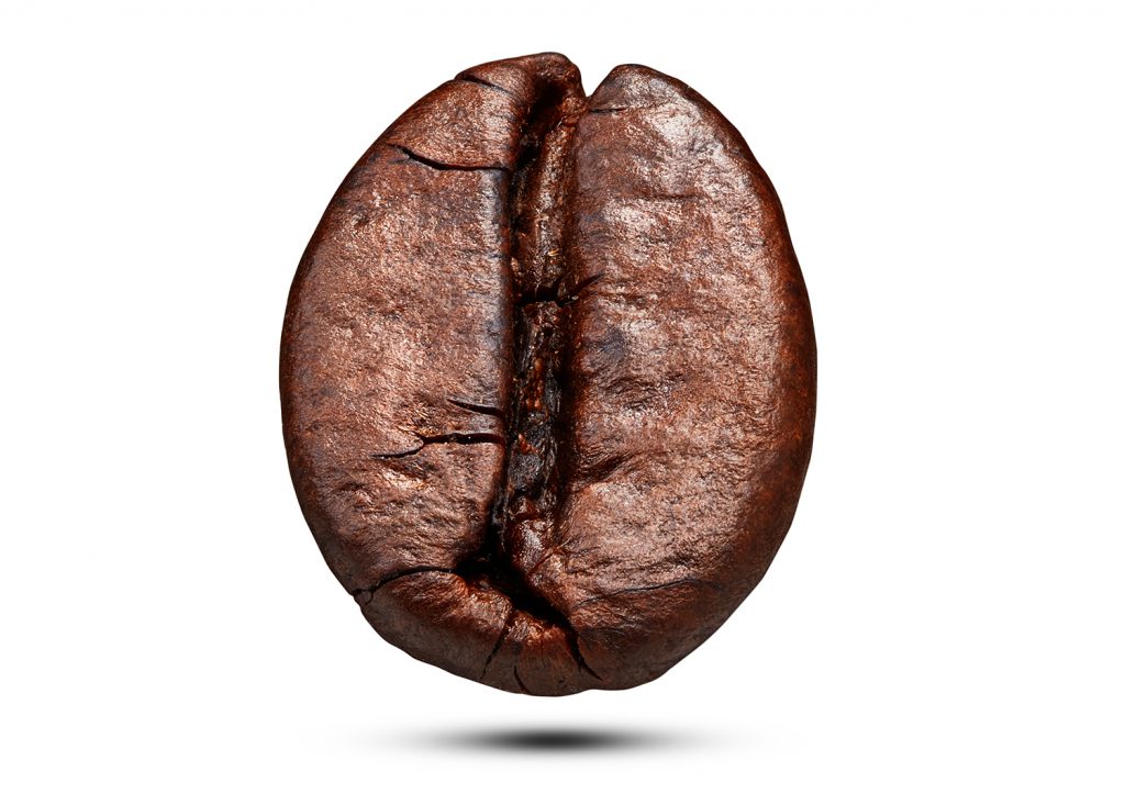 תמונה: Shutterstock