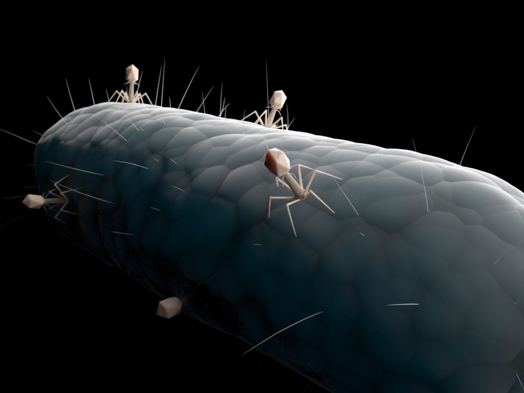 תמונה: shutterstock