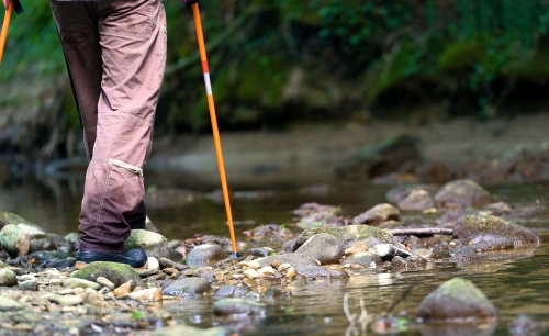 צילום: Shutterstock