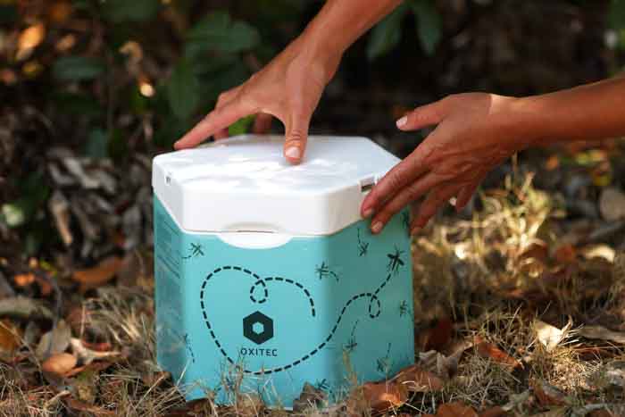 קופסת ביצי היתושים שמשווקת חברת אוקסיטק בברזיל | Joe Raedle/Getty Images