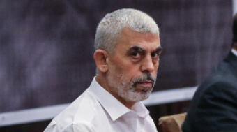 צילום: Abed Rahim Khatib/Flash90