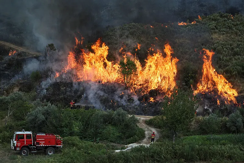 כוחות כיבוי אש פועלים לכבות את השריפה ביער טרנסקו שבפורטוגל, 11 באוגוסט 2025
