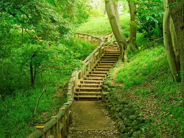 המדענים מגרדים בראש: איך טיול קצר בטבע, או מבט בבניין עתיק – מאפסים את המוח