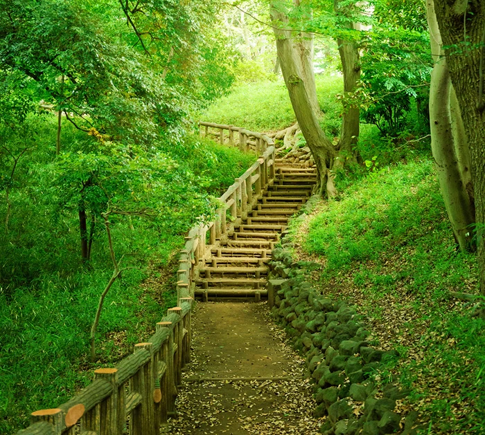 המדענים מגרדים בראש: איך טיול קצר בטבע, או מבט בבניין עתיק – מאפסים את המוח