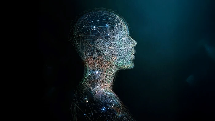 תמונת אילוסטרציה: Shutterstock