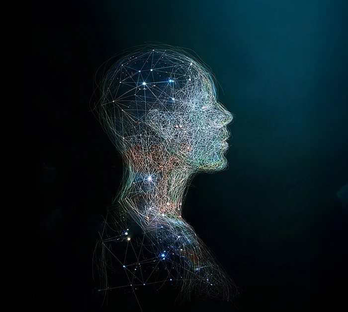 תמונת אילוסטרציה: Shutterstock