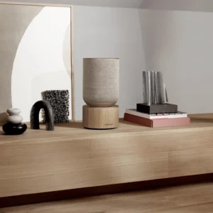 קרדיט: Bang & Olufsen