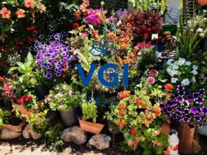 דשן נוזלי - המדריך המלא להזנה חכמה ואורגנית של הגינה