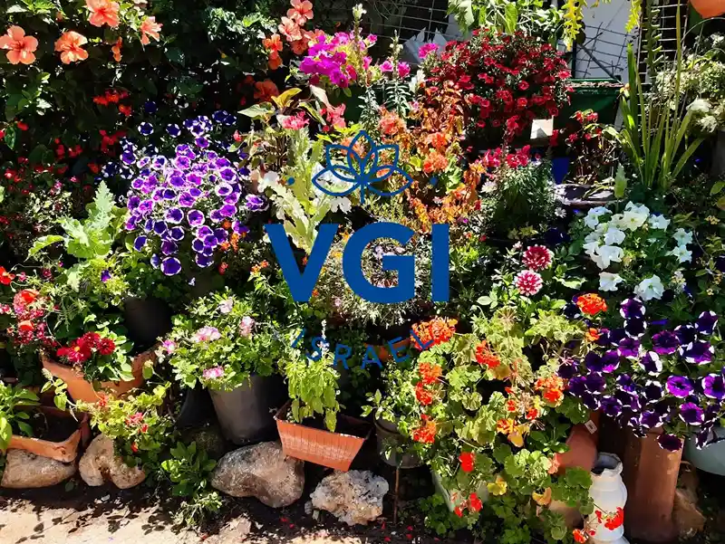 דשן נוזלי - המדריך המלא להזנה חכמה ואורגנית של הגינה