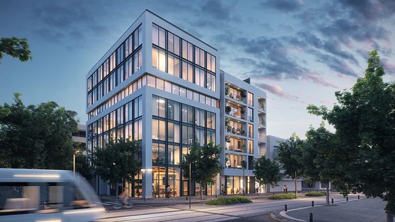 אלנבי יובלים סיטי בוי