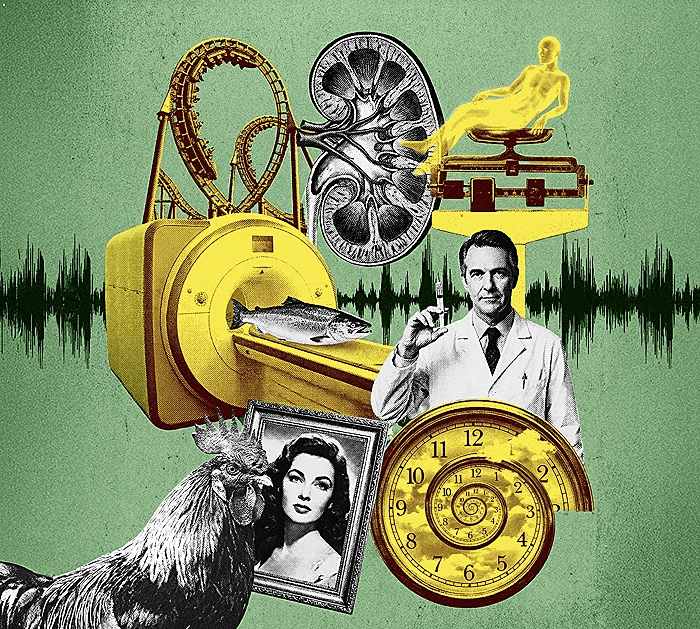 עיצוב אילוסטרציה: מגזין אפוק