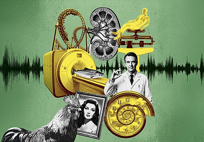 עיצוב אילוסטרציה: מגזין אפוק