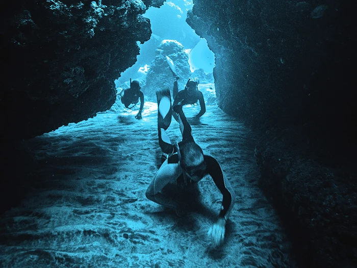 צילום: Aline Escalon