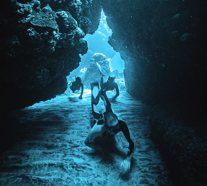 צילום: Aline Escalon