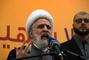 מזכ''ל חיזבאללה, נעים קאסם
