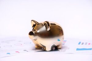investment portfolio management