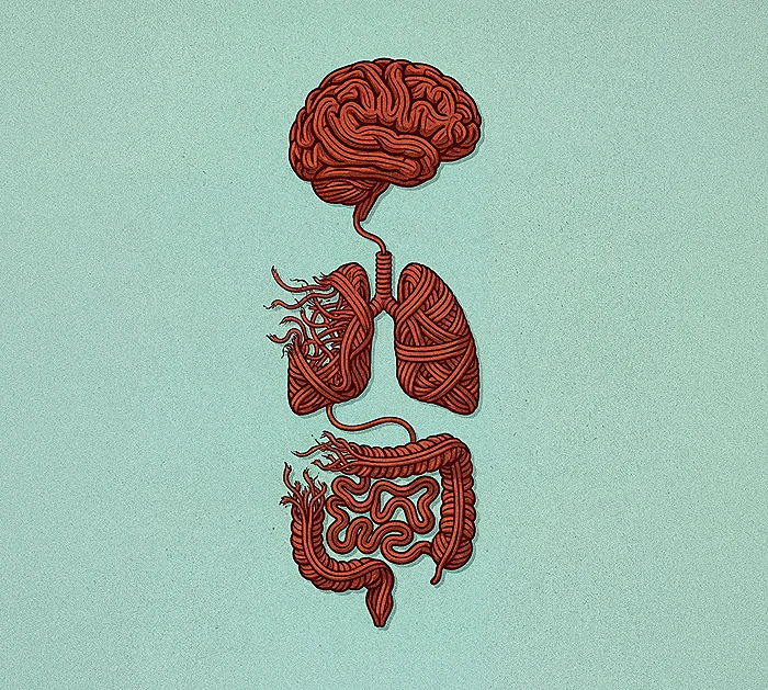 איור אילוסטרציה: מגזין אפוק