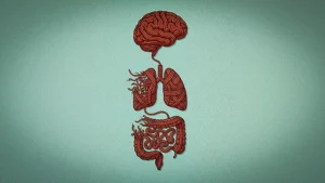 איור אילוסטרציה: מגזין אפוק