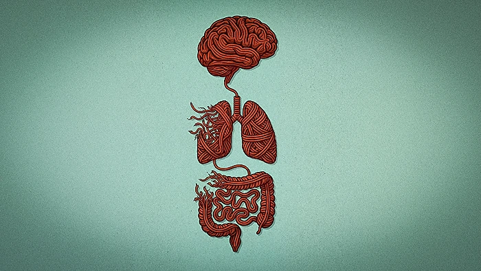 איור אילוסטרציה: מגזין אפוק