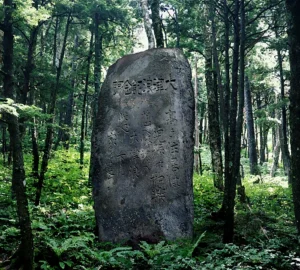 track-artwork