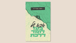 נעם שפירא, "אבא של בעז לומד ללכת", הוצאת סלע מאיר, מאי 2026